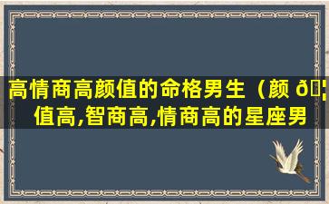 高情商高颜值的命格男生（颜 🦉 值高,智商高,情商高的星座男）
